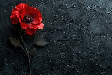 Poster - Vibrant red flower on a sleek black surface, perfect for various design projects