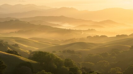 Poster - Golden hour sunset over rolling hills, with soft sunlight bathing the landscape in warm, ethereal glow.