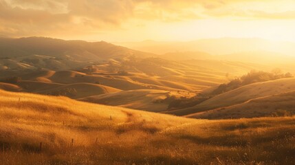 Poster - Golden hour sunset over rolling hills, with soft sunlight bathing the landscape in warm, ethereal glow.