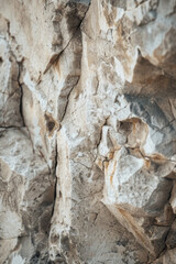 Wall Mural - A close-up of a piece of rough-hewn stone, showcasing its natural texture and rugged beauty.