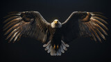 Fototapeta  - Front view of a majestic bald eagle with its wings spread wide, symbolizing freedom and strength against a dark background.
