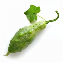 Photo Of Ivy Gourd, Isolate On White Background