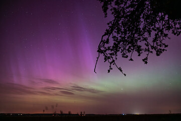 Nordlichter Norlicht über Sachsen 10.05.2024 - 11.05.2024 -29