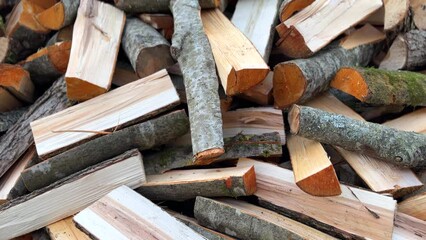 Wall Mural - Firewood. Chopped firewood. Chopping wood and cutting timber. Preparation of firewood in village for heating the house in winter. 