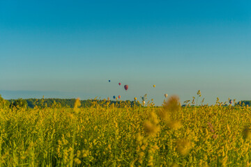 hot air balloons over rural landscape