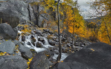 Canvas Print - Russia. Russia. The South of Western Siberia, the Altai Mountains. Small waterfalls on the Katuyaryk River in the valley of the Chulyshman River.