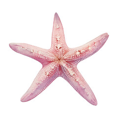 Pink starfish vector illustration Oceanic wildlife art Exotic reef animals Watercolor fish Marine decoration Nautical design Clipart for design logo or decoration sea star