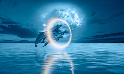 Poster - Group of dolphins jumping up from the sea amazing sunset in the background with rounde rainbow