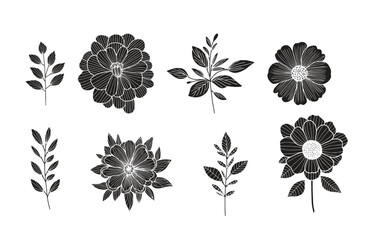 Wall Mural - Vector black silhouettes of flowers isolated on a white background.