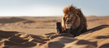 Fototapeta  - A lion holding a smartphone while looking at the camera. Smart lion uses phone to surf the internet in the desert. Poster. Perfect WiFi connection concept.