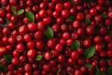 Lingonberry texture background, Vaccinium vitis-idaea fruits pattern, many partridgeberry mockup