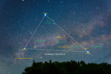 Wall Mural - Constellation guide (How to find), the summer triangle deneb, altair and vega (cygnus, aquila, lyra) (Summer season)