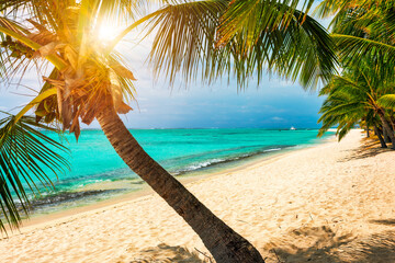 Wall Mural - Palm trees on the tropical Le Morne beach, Mauritius. Tropical vacation background concept on Le Morne beach, Mauritius. Paradise beach on Mauritius island, palm trees, white sand, azure water.