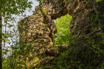 Poster - A Rock Arch Formation In The Woods During Spring