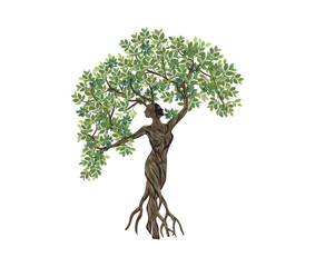 Wall Mural - Nymph vector hand drawing.. Dryads woman tree illustrations, abstract human tree. 