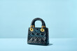 © Matthew Roharik - Luxury Designer Black Quilted Handbag Purse with Gold Hardware on Blue two toned background