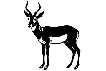 Pronghorn full body, white background 