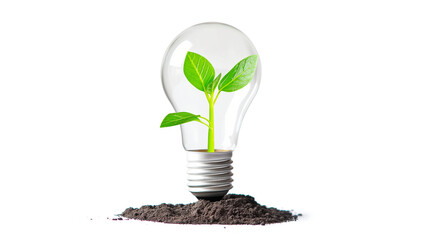 light bulb with a green plant growing out isolated on a white background.