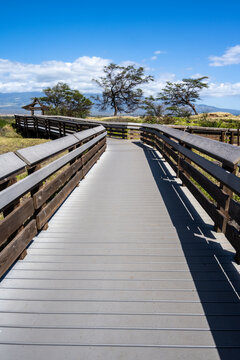 manufactured wood kealia coastal boardwalk, national wildlife refuge, handicap accessible exploratio