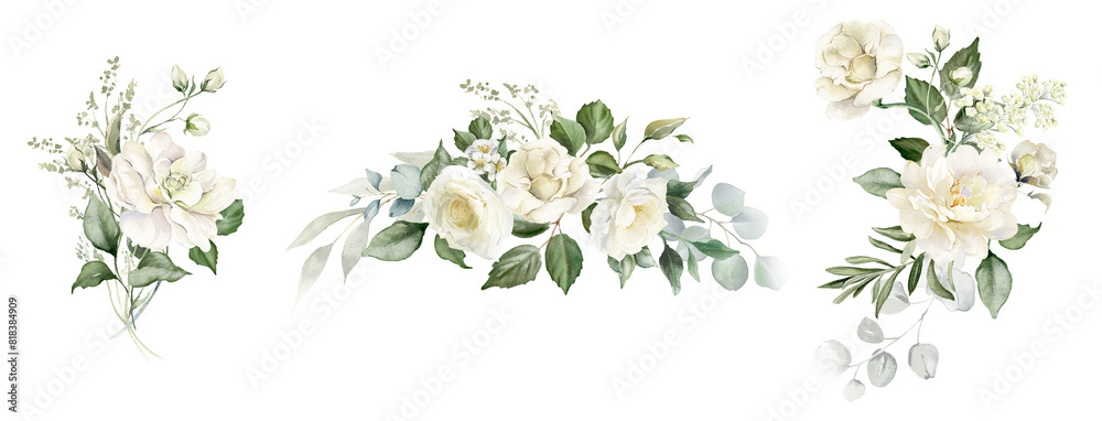 White flowers and green eucalyptus leaves watercolor illustration ...