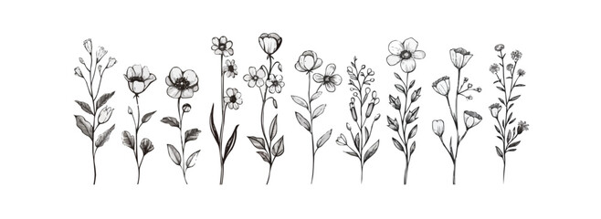 Sticker - Set of wild flowers hand drawn in doodle style, vintage.Vector illustration.Black lines on white background.Different flowers for your design in retro style,hand made.. vector simple