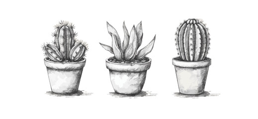 Canvas Print - Cactus set hand drawn sketch Plants. vector simple illustration