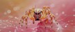 © INsprThDesign - A small brown spider sits on a web with a gradient pink and yellow background.