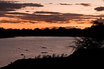Wall Mural - View of the Luangwa River at sunset South Luangwa National Park. Zambia. Africa.