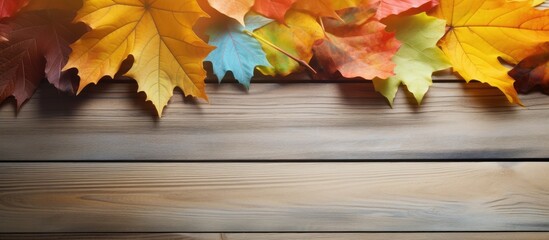 Aufkleber - There is a copy space image of colorful autumn leaves resting on a wooden table