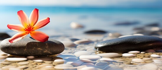 Poster - Close up image of spa stones with a flower on a sandy beach offering a beautiful and tranquil copy space image