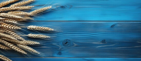 Aufkleber - Flat lay on a blue wooden table with ears of wheat creating a copy space image for text