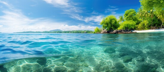 Wall Mural - A picturesque seascape with clear blue waters and lush tropical green trees providing ample copy space for any desired image