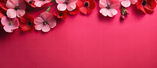 Poster - A visually appealing copy space image consists of adorable pink flowers placed on a vibrant red backdrop