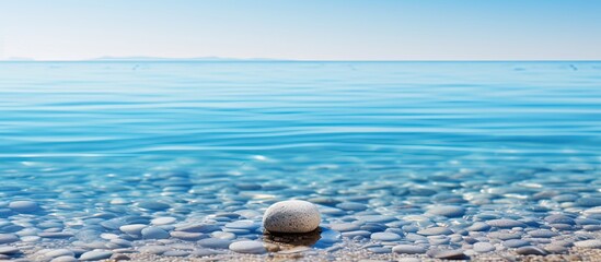 Poster - A pebble resting in the clear water on the sandy beach creating a serene and natural background for any desired content Copy space image