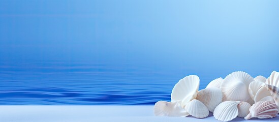 Poster - Blue background with seashells providing copy space image
