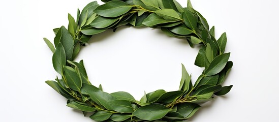 Fototapete - Dried laurel leaf seasoning showcased in a copy space image an isolated wreath made of laurel leaves on a white background