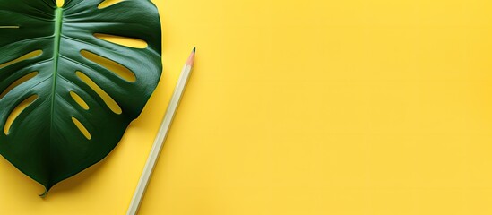 Poster - A top down view of a green Monstera leaf placed next to a yellow background with a simple pencil and a blank space for text. Creative banner. Copyspace image
