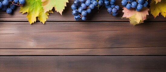 Poster - A top down view of blue grapes and vibrant grape leaves on weathered wooden table creating a captivating background for copy space image