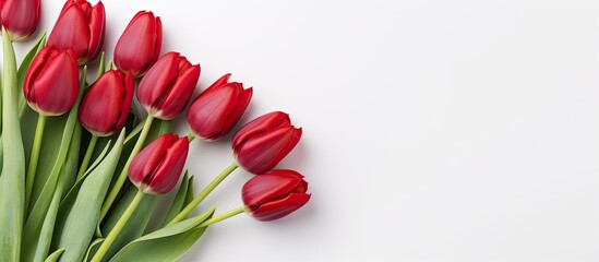 Sticker - A seasonal floral concept featuring a bouquet of red tulips on a white background perfect for copy space images