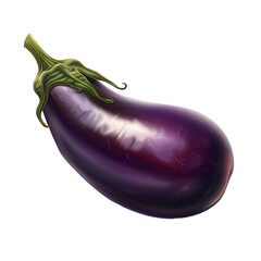 Wall Mural - A shiny ripe eggplant on a white background
