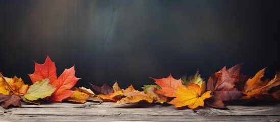 Poster - Autumn leaves providing a colorful display on a table with ample copy space image