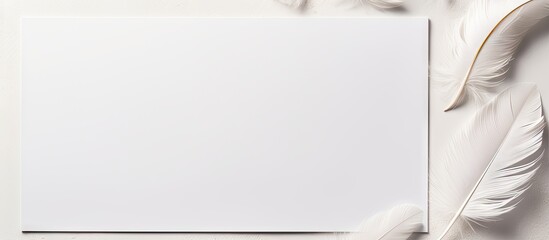 Fototapete - A background of a white A4 paper with a pen and feathers leaving empty space for writing or drawing. with copy space image. Place for adding text or design
