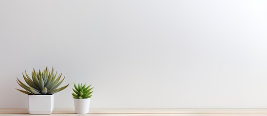 Copy space image of an inviting empty workplace with a white desk and a succulent plant in the foreground