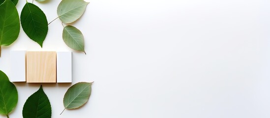 Poster - From a top down perspective there is a set of wooden building blocks on a white background Alongside them lies a pristine white card with empty space for text In addition a solitary green leaf comple