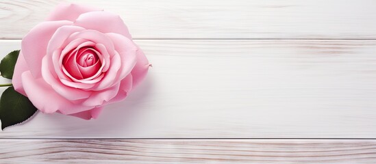 Poster - Copy space image featuring a pink rose heart positioned on a white wooden background with space available for text or other graphics