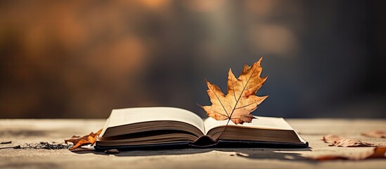 Aufkleber - There is a copy space image with a leaf resting on top of a book