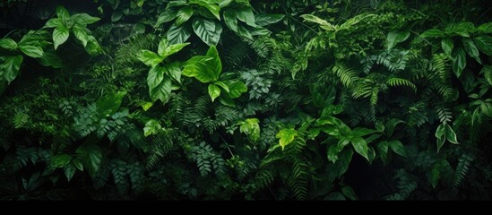 Wall Mural - Jungle background with small green leaves providing ample copy space image