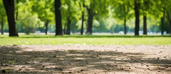 Aufkleber - A close up view of the ground in a sunny spring park with ample copy space for images