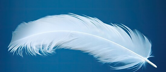 Poster - A macro shot of white feathers against a blue backdrop with ample space for text or other elements within the image