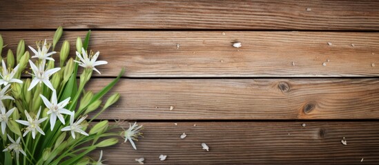 Aufkleber - Copy space image of Giant Squill and Leaf Measles against a rustic wood background